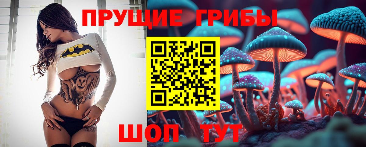 Галлюциногенные грибы Cubensis Кувандык
